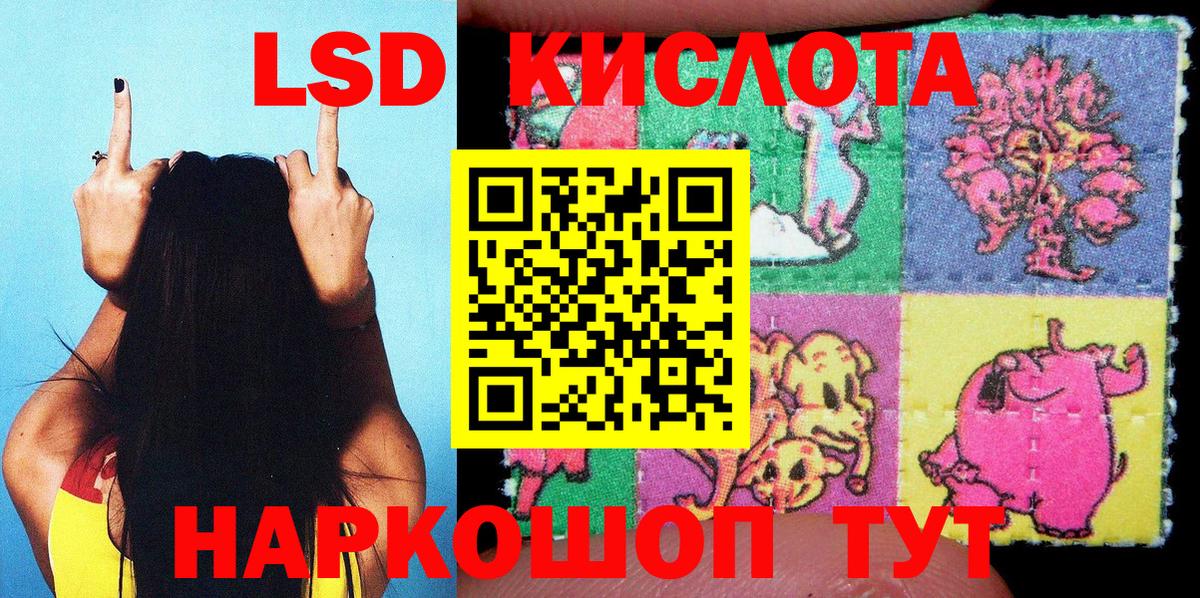 Наркотические марки 1500мкг Гусев