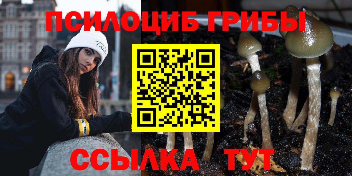 Галлюциногенные грибы MAGIC MUSHROOMS  Вход с VPN  Гусев 
