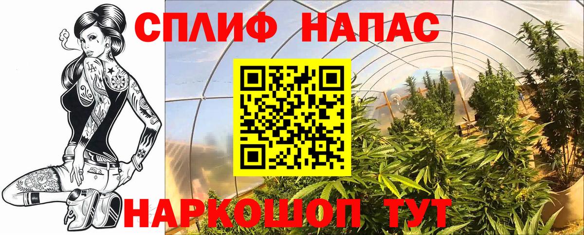 Конопля конопля  Вход с VPN  Гусев  Марихуана Amnesia  Шишки марихуана тримм 